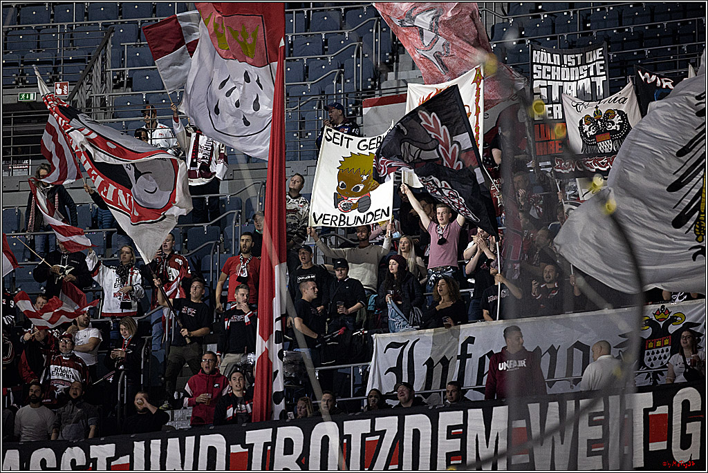 PENNY DEL;  Koelner Haie - Krefeld Pinguine; Koeln, 31.10.2021